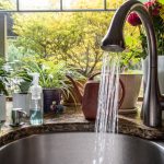 Modern Home Kitchen Sink With Plant And Flower Fil 2023 11 27 04 54 04 Utc
